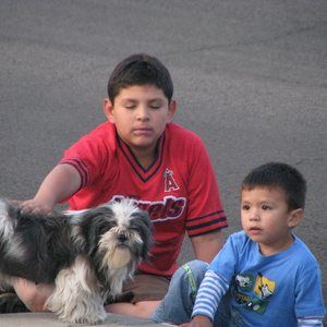 Meet your Posher, Luz